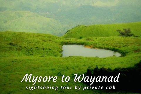 One Day Mysore to Wayanad Tour by Cab