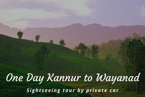 One Day Kannur to Wayanad Tour by Taxi