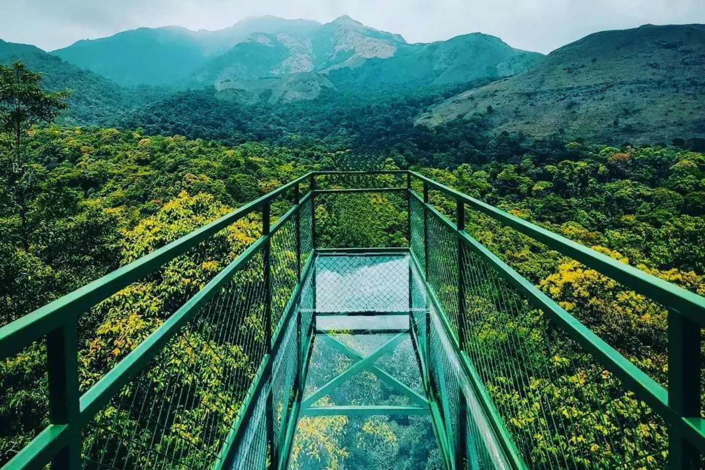 Glass Bridge 900 Kandi