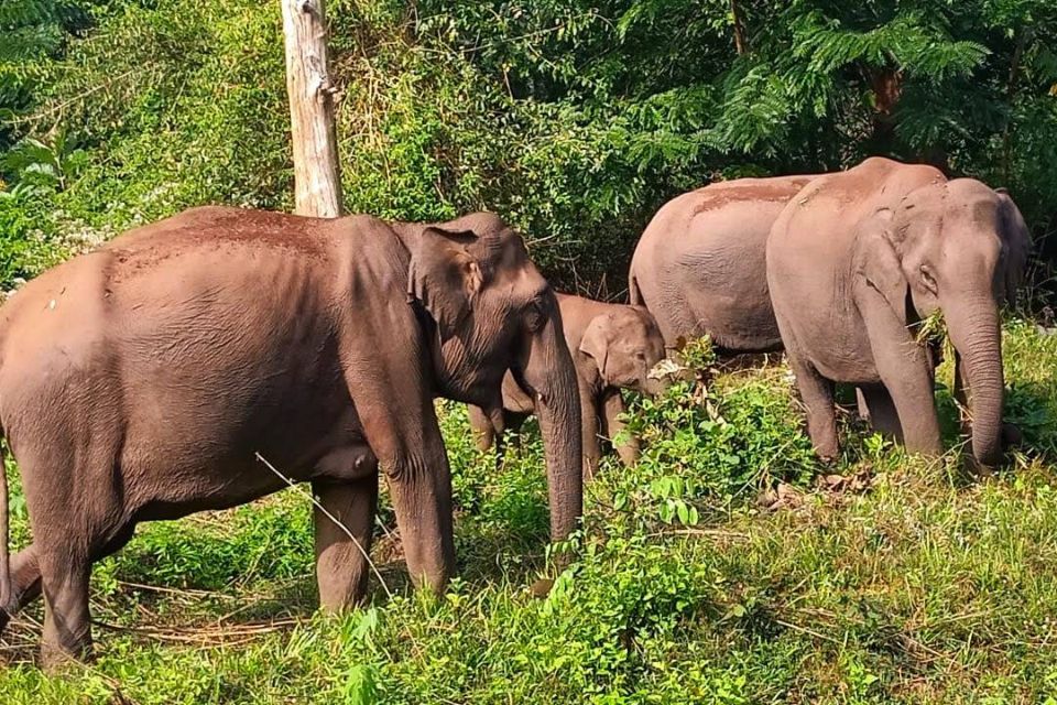 Tholpetty Wildlife Sanctuary