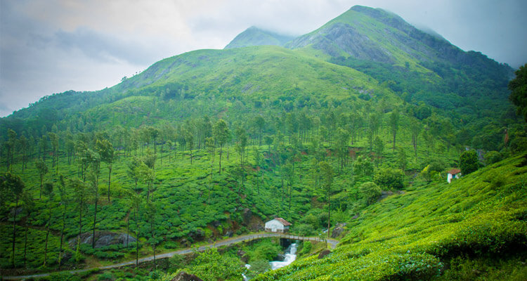 Chembra Peak Wayanad (Timings, History, Entry Fee, Images & Information ...