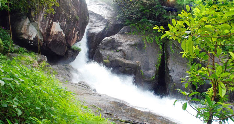 Meenmutty waterfalls Wayanad (Timings, History, Entry Fee, Images ...