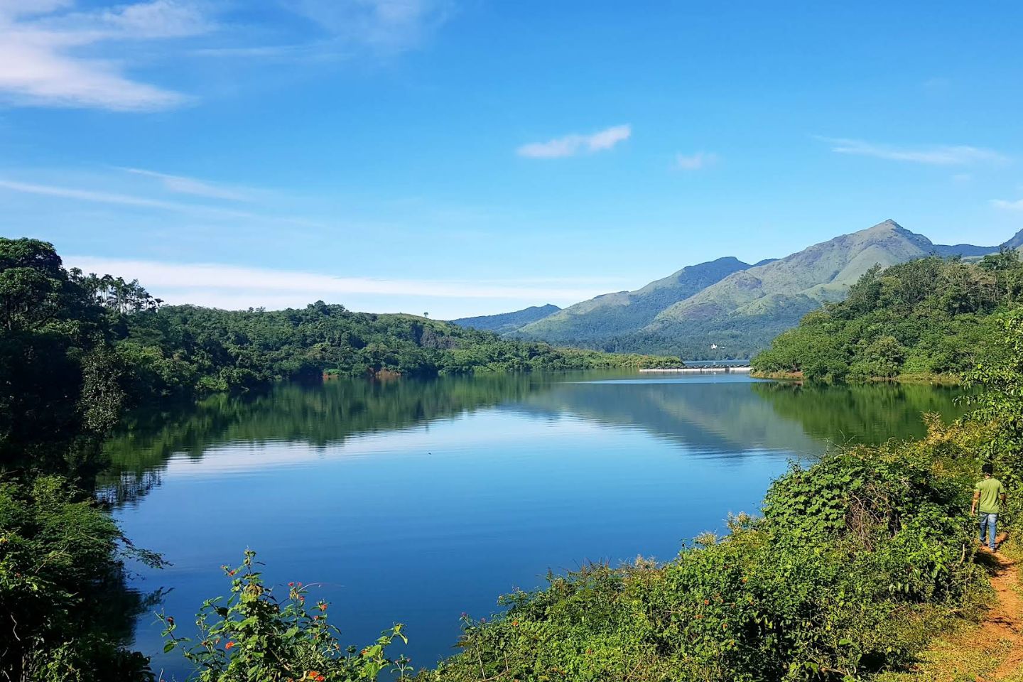 Wayanad 1 Day Tour Packages