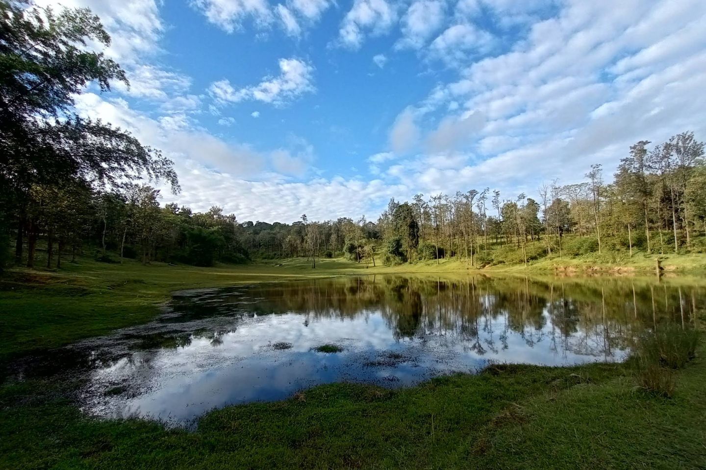 Wayanad Darshan Packages