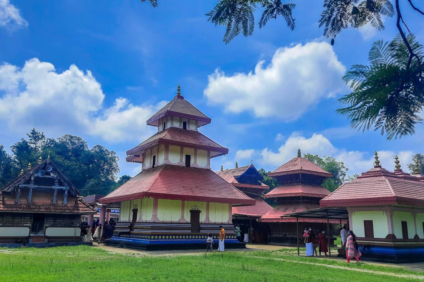 Wayanad Local Sightseeing Tour Packages