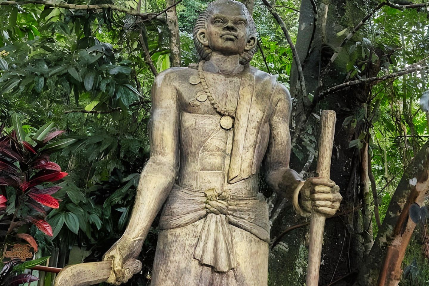 Chain Tree Wayanad (Timings, History, Entry Fee, Images & Information) 