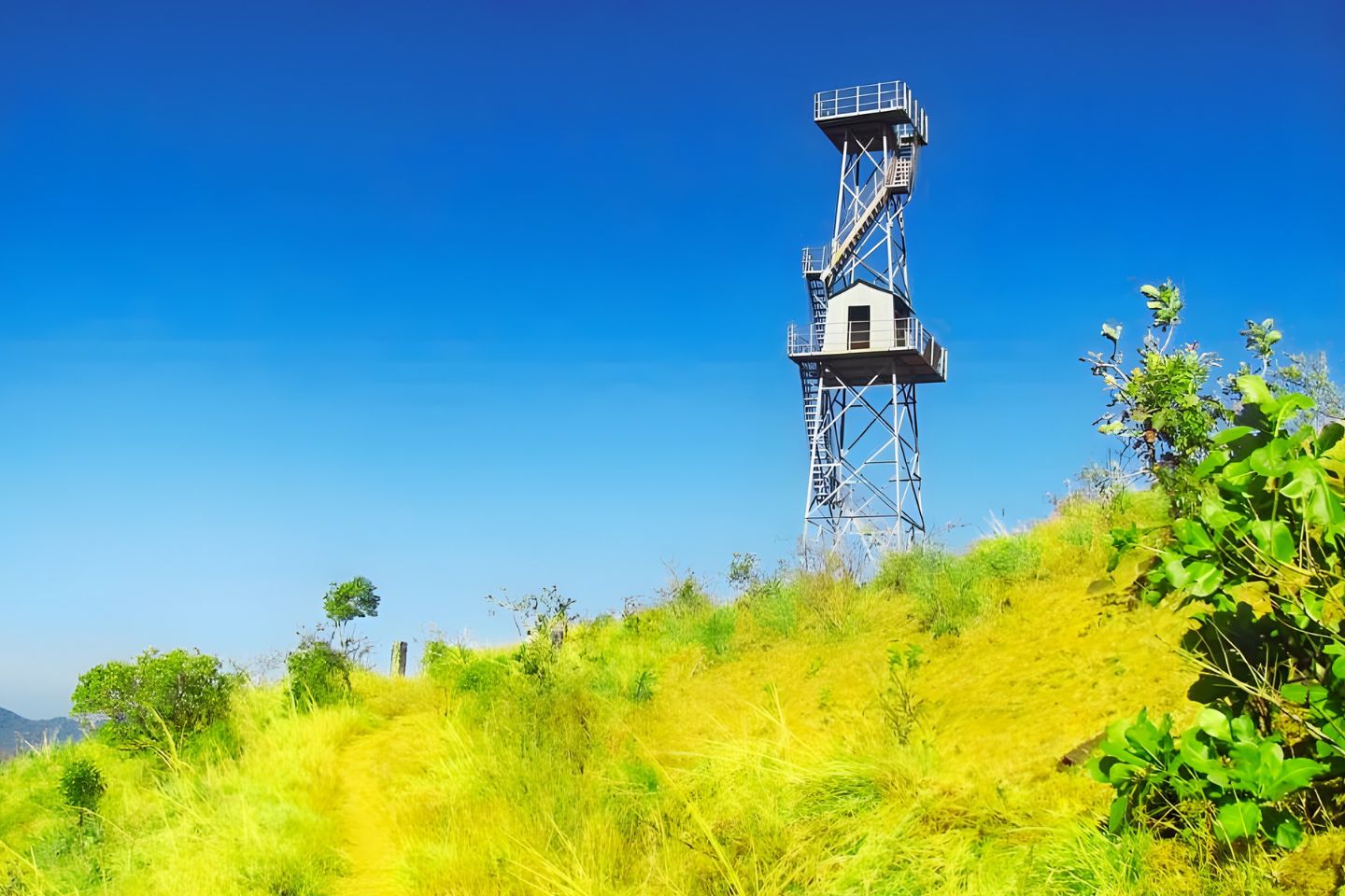 Pakshipathalam Bird Sanctuary Wayanad