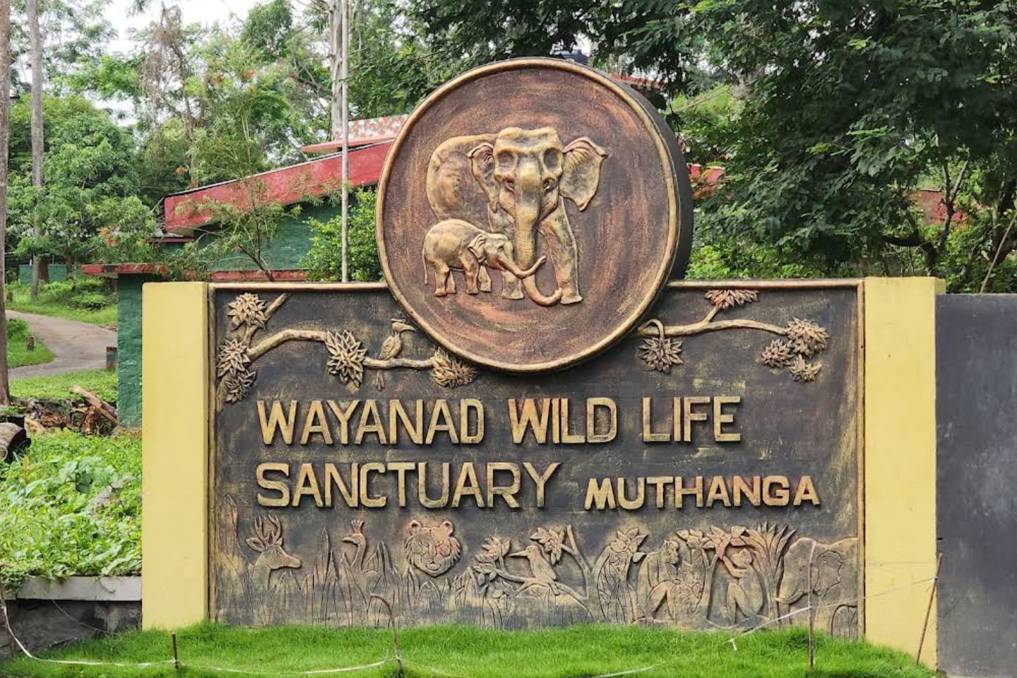 Wayanad Wildlife Sanctuary