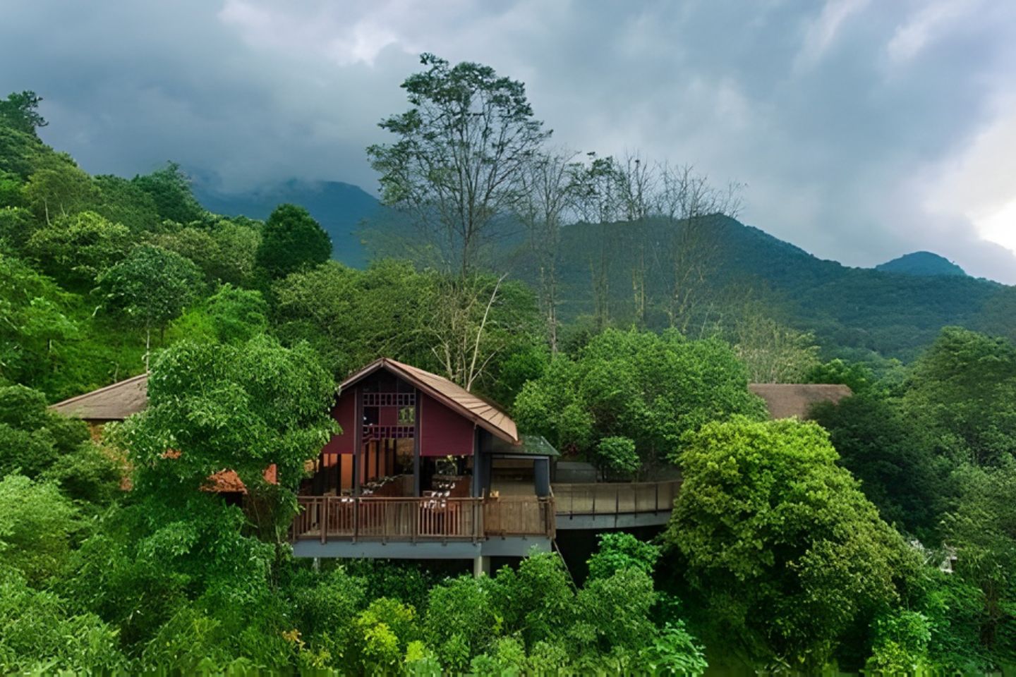 Rainforest Boutique Resort